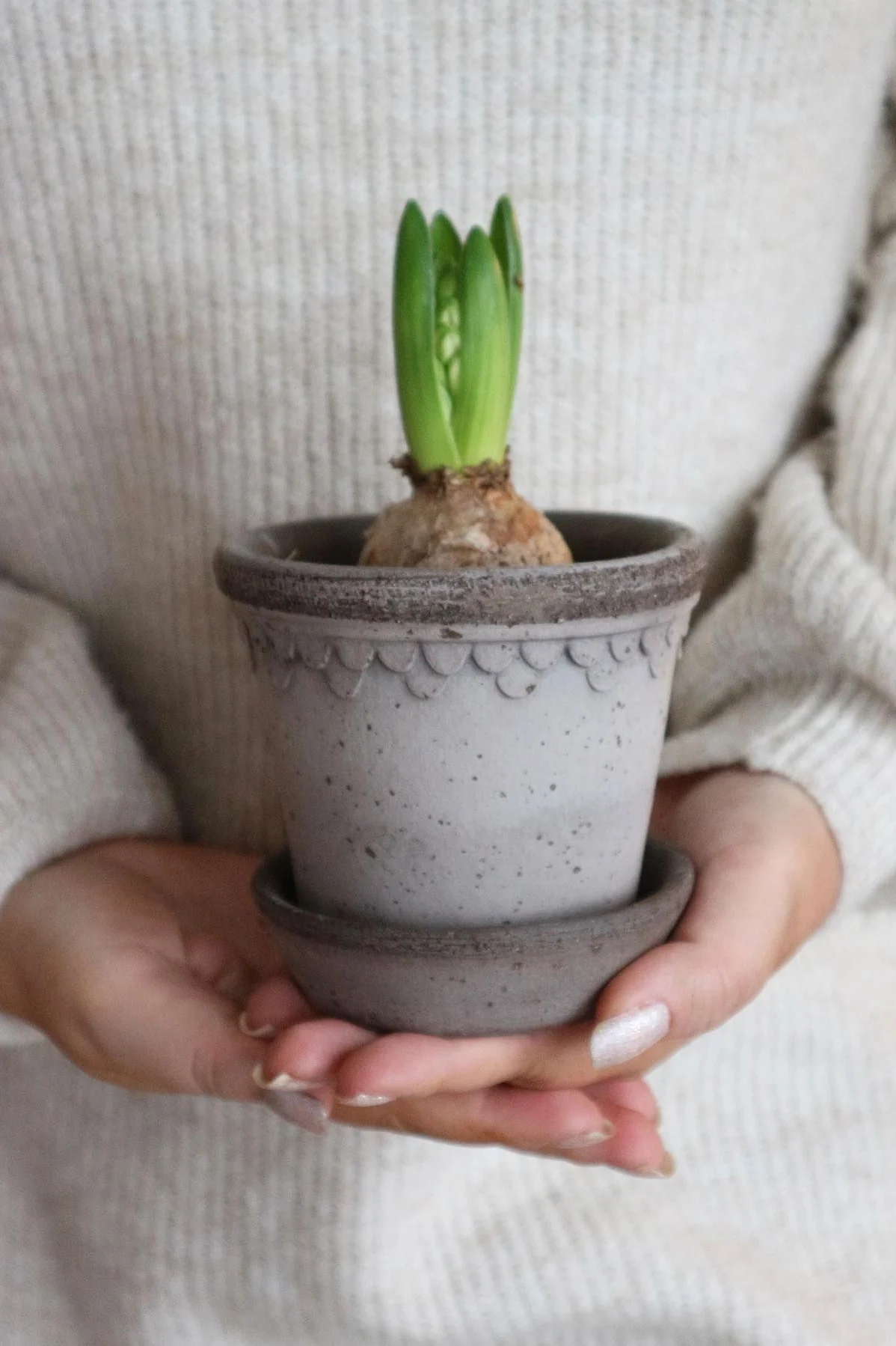 Décoration de Noël scandinave : Les jacinthes font partie des décorations de Noël classiques en Scandinavie. Ici, @interior_byvendela en tient une dans le pot Københavner de Bergs Potter.