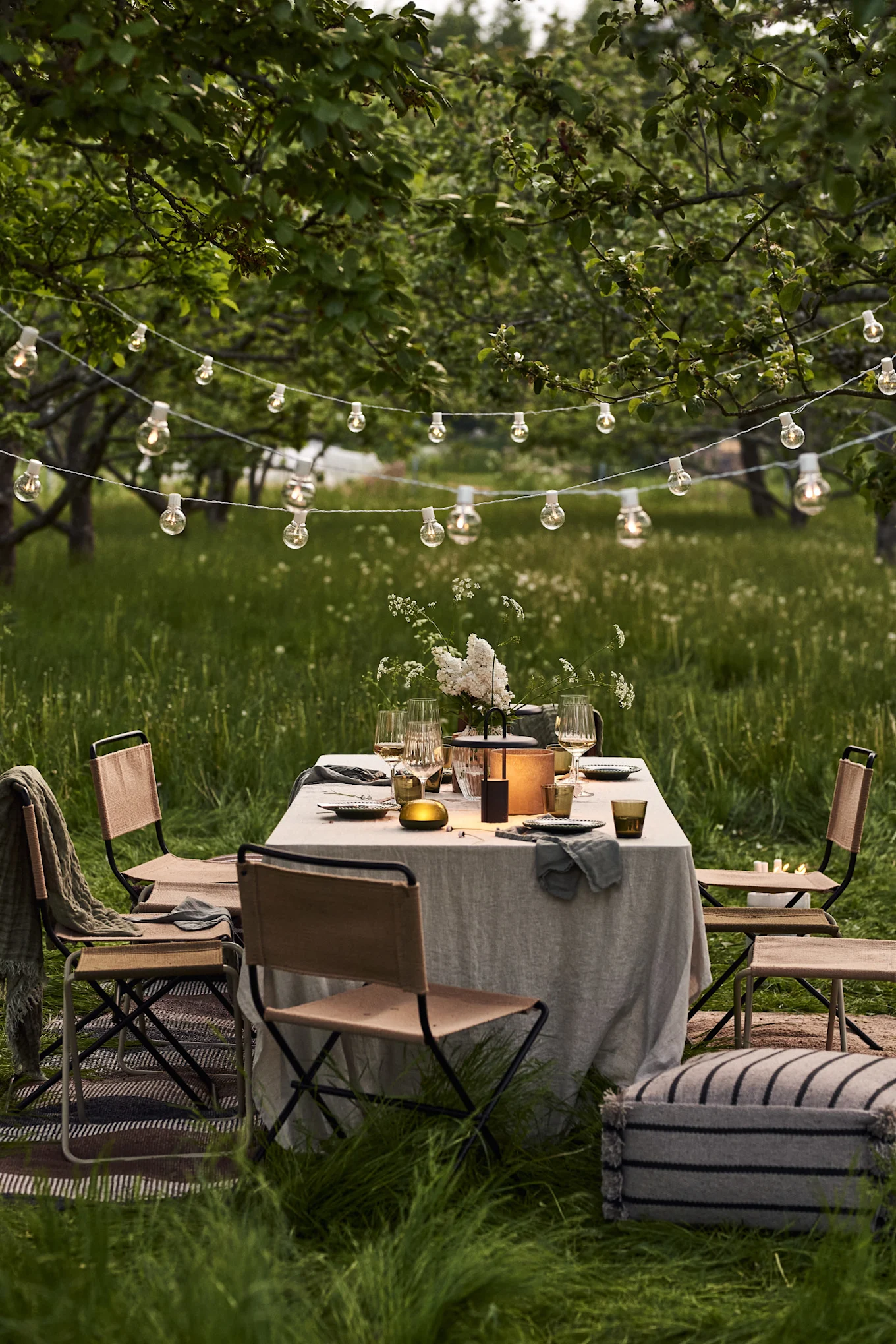 Aménagement de table en plein air : table ornée de fleurs blanches, lanterne, chaises tressées et guirlandes lumineuses dans un verger verdoyant.