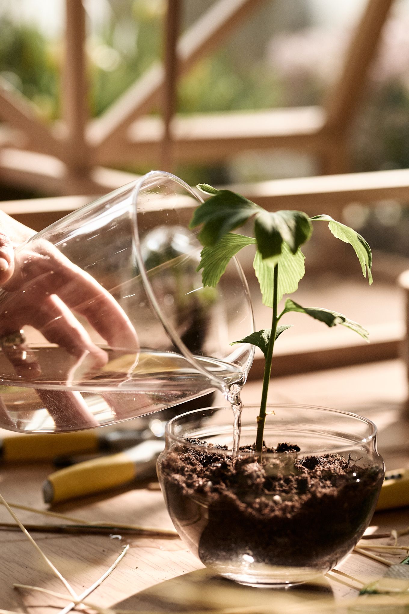 La jardinière Grow médium de Design House Stockholm, dont le couvercle sert également d'arrosoir ! 
