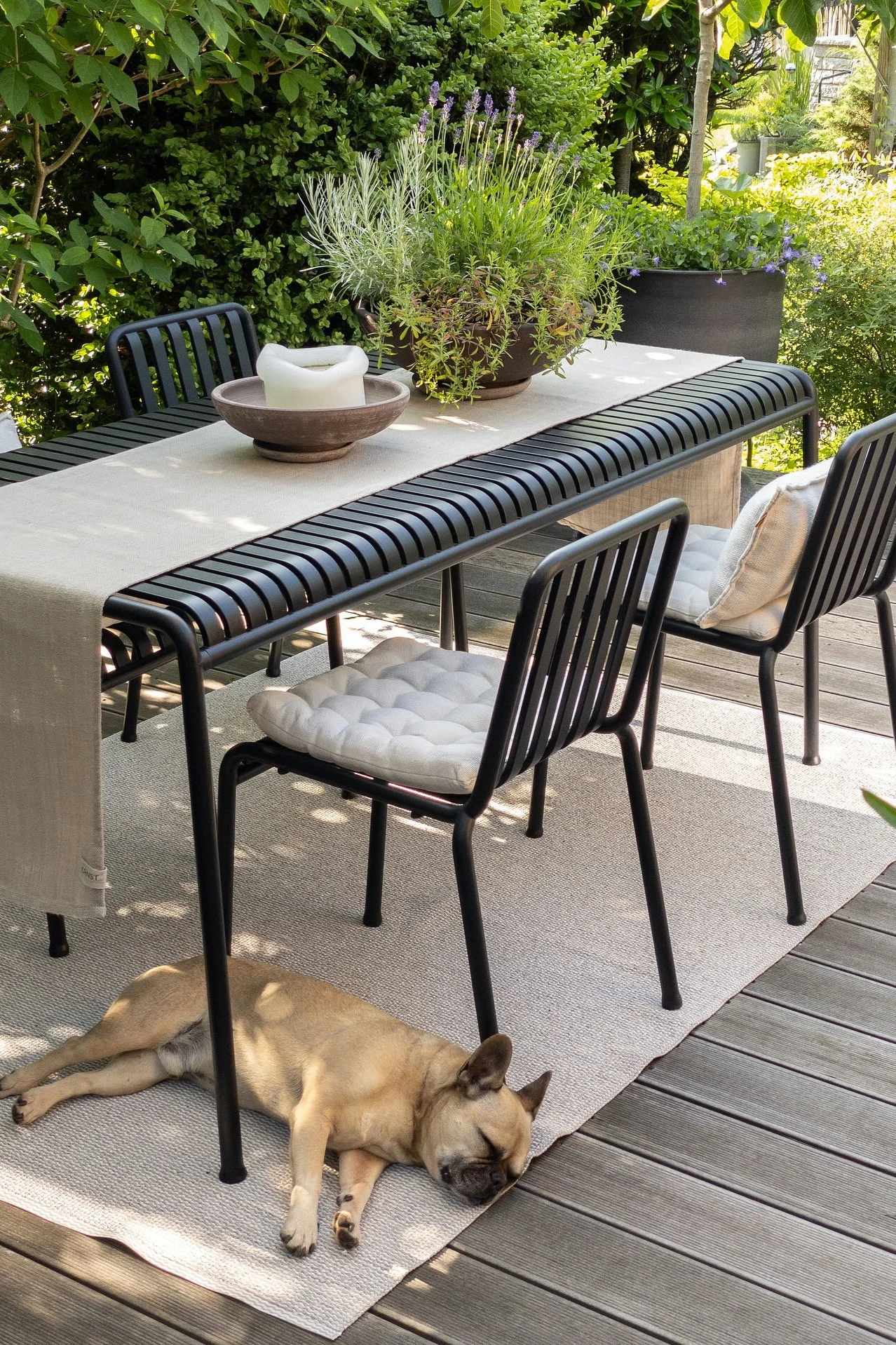 Espace repas extérieur avec table à lattes noires, chaises avec coussins, herbes en pot et une bougie. Un bouledogue français dort sur un tapis.