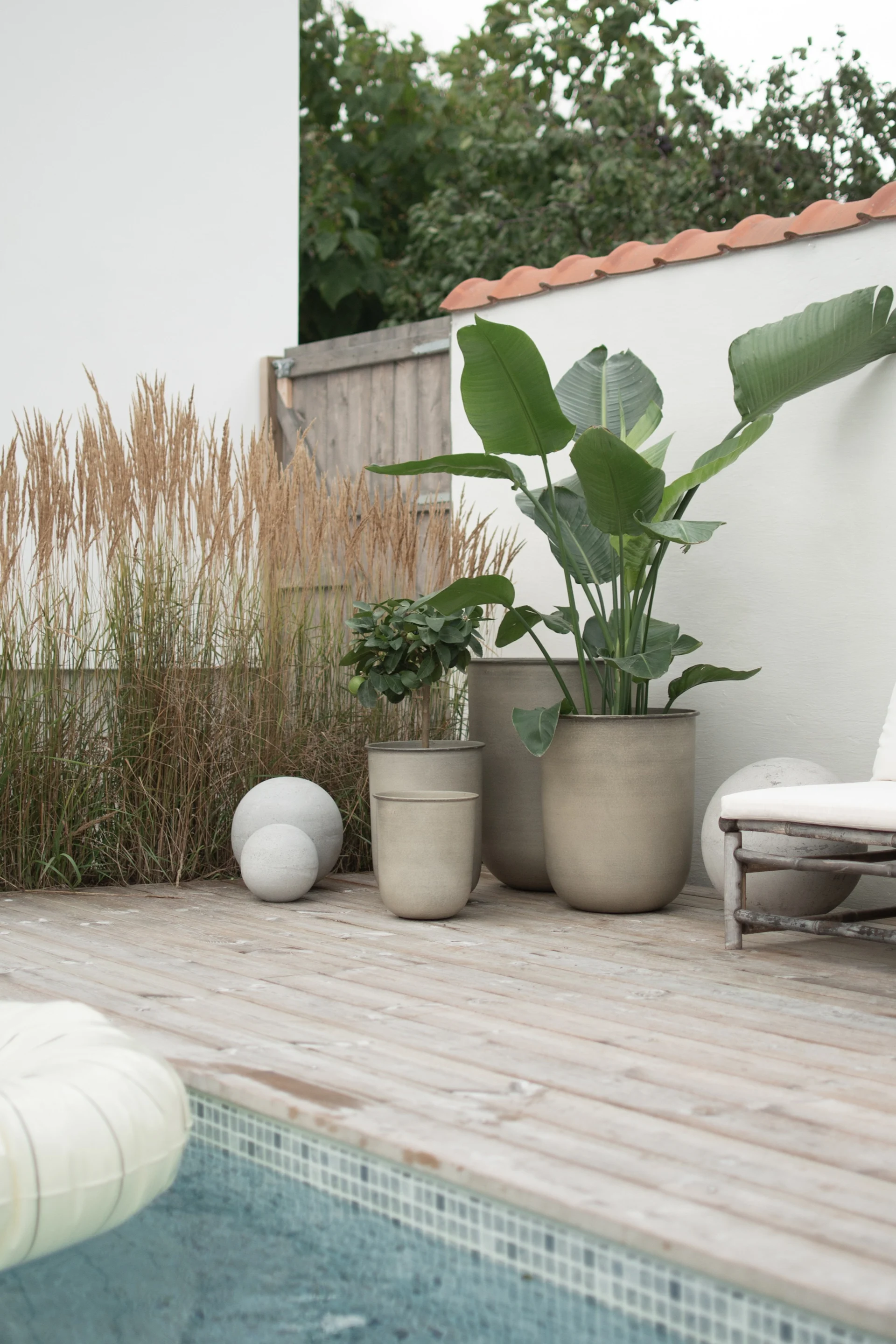 Terrasse en bois extérieure près d'une piscine avec de grandes plantes en pot, des herbes hautes, des sphères en béton et une chaise longue blanche.